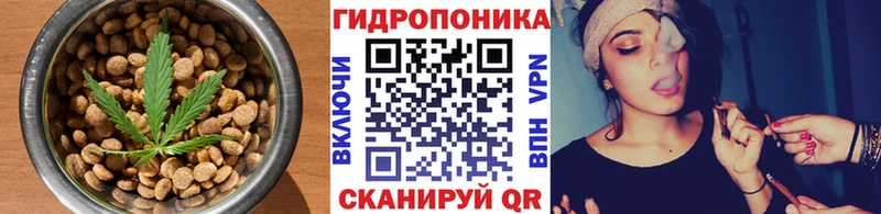 Cannafood марихуана  даркнет клад  Светлогорск  где можно купить   кракен как зайти 